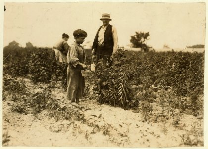 Johnnie Yellow, a young Polish berry picker on Bottomley farm, Rock Creek, near Baltimore, Md. Says he is 10 years old and has gone to Biloxi, Miss. for 9 years (with family) and has worked LOC cph.3a20804