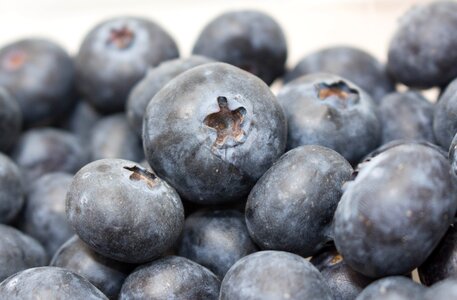 Juicy berry blueberry photo