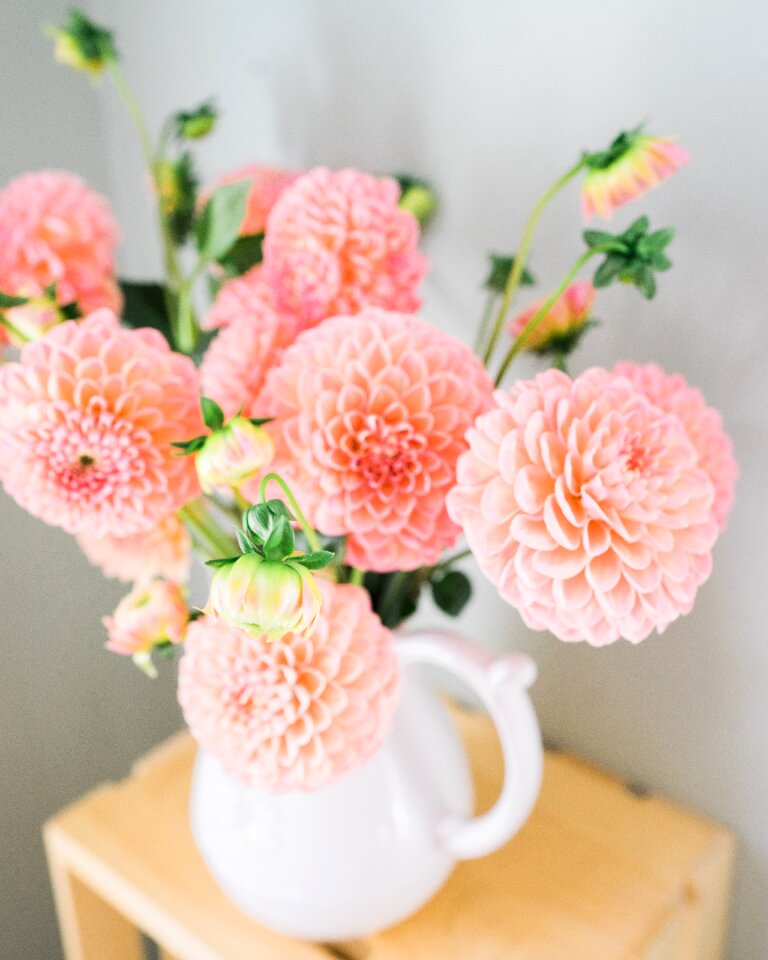 Bouquet plant composition