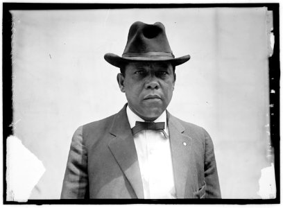 JOHNSON, HENRY LINCOLN. RECORDER OF DEEDS, WASHINGTON, D.C. LCCN2016865659