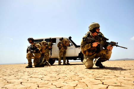 Joint Mass Casualty Exercise DVIDS176477