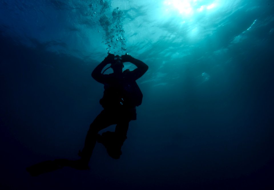 Joint UCT diver training 150112-N-YD328-228
