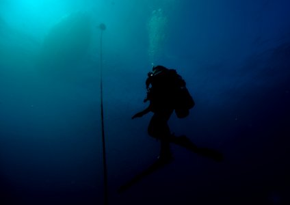 Joint UCT Diver Training 150113-N-QA919-351