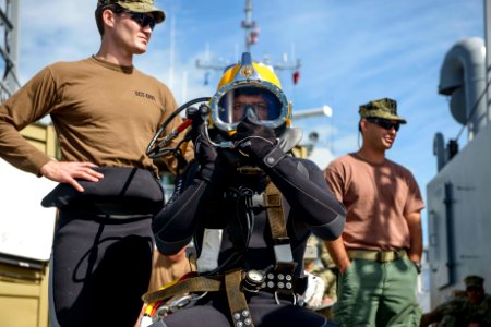 Joint UCT Diver Training 150117-N-YD328-052