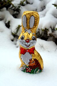 Snow easter greeting greeting card