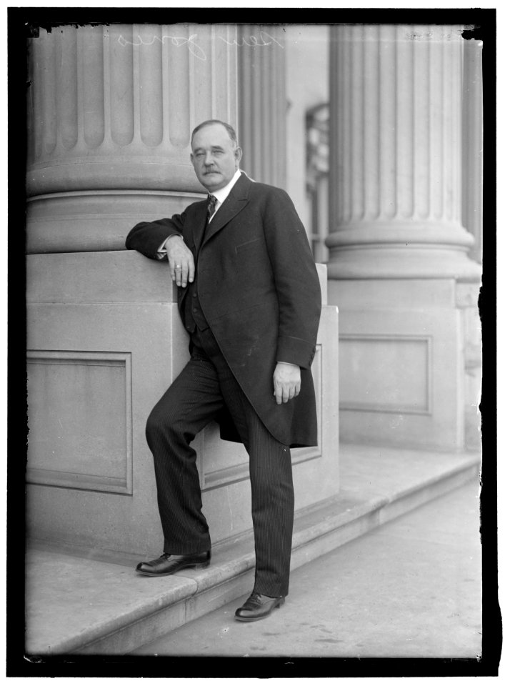 JONES, ANDRIENS ARISTIENS. SENATOR FROM NEW MEXICO, 1916-1927. AS DEMOCRATIC NATIONAL COMMITTEE MAN FROM NEW MEXICO LCCN2016864532