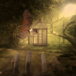 Raptor forest freedom