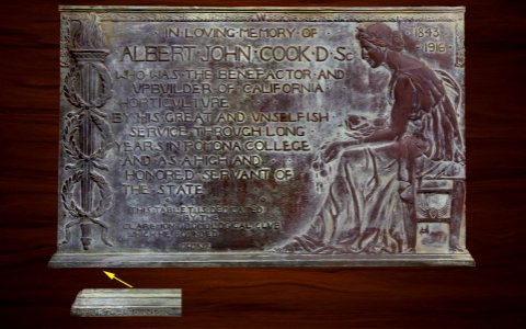 Johnson burt cook memorial 1