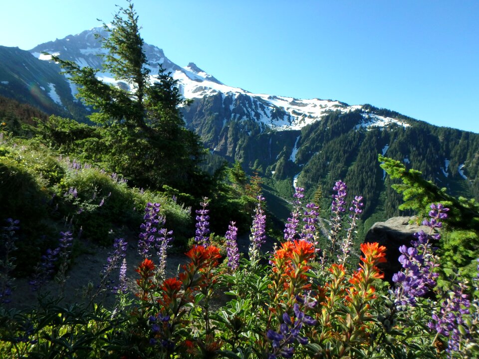 Wilderness nature mountains