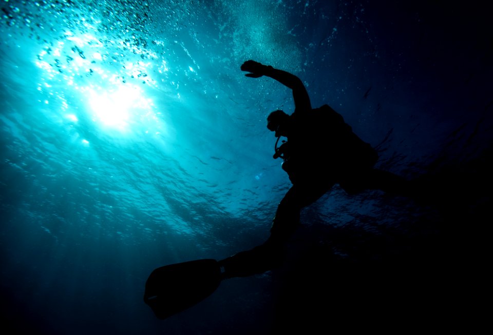 Joint UCT Diver Training 150113-N-QA919-359