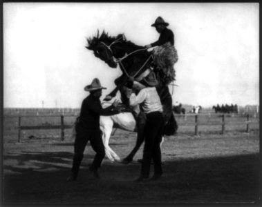 Jones on Silver City (bucking bronco), Cheyenne Frontier Days LCCN2004674922 photo