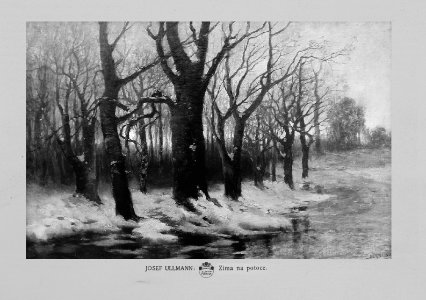Josef Ullmann-Zima na potoce