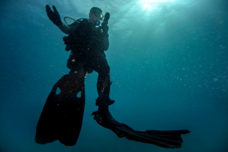 Joint UCT diver training 150112-N-YD328-225
