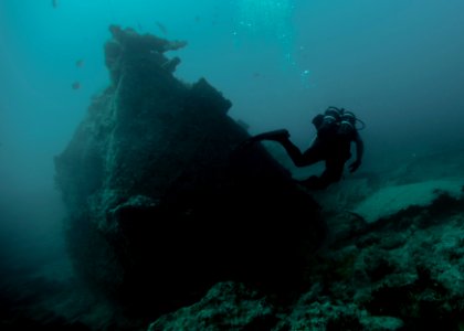 Joint UCT Diver Training 150113-N-QA919-303