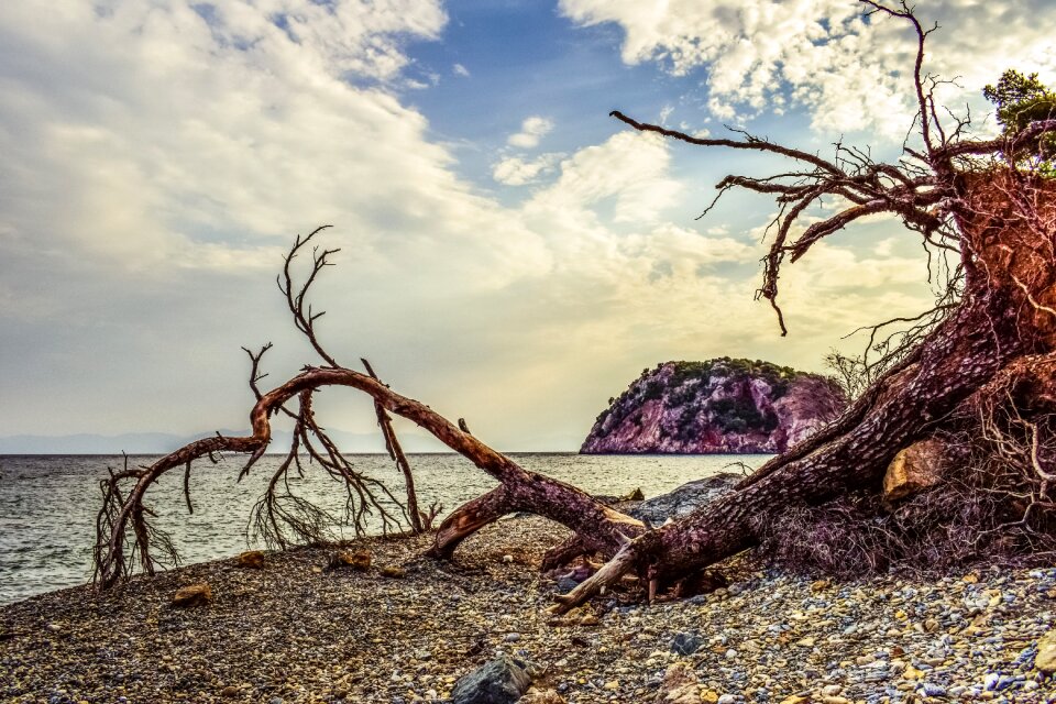 Debris beach nature