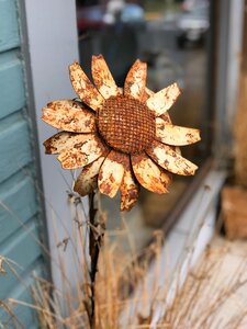 Rusty flower vintage