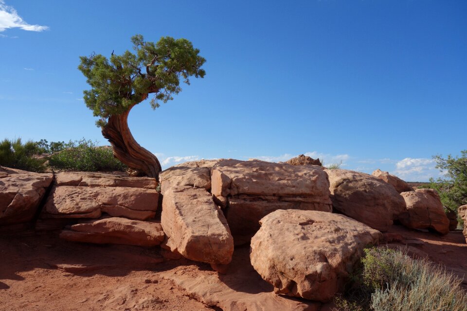 Landscape rock desert