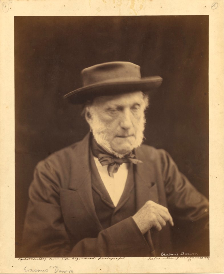 Julia Margaret Cameron (British, born India - (Erasmus Darwin) - Google Art Project