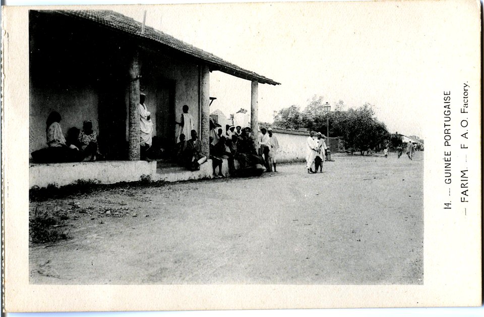 JRD - 14. Guiné Portuguesa – Farim – F.A.O. Factory
