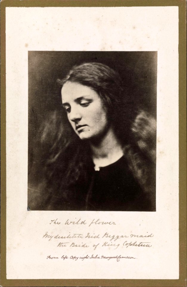 Julia Margaret Cameron - The Wild Flower - Google Art Project