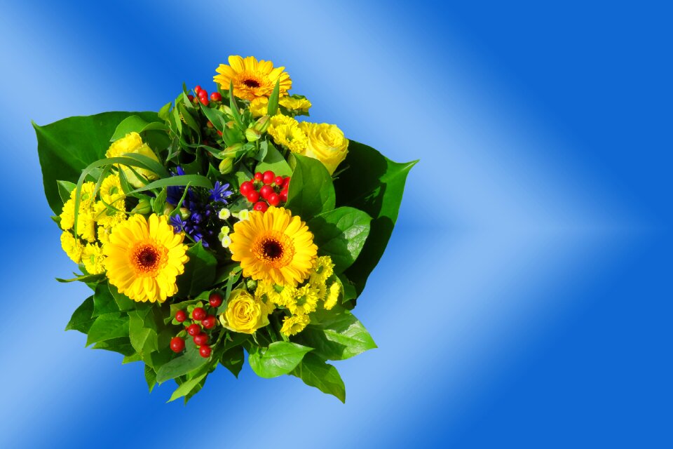 Greeting card floral greeting birthday