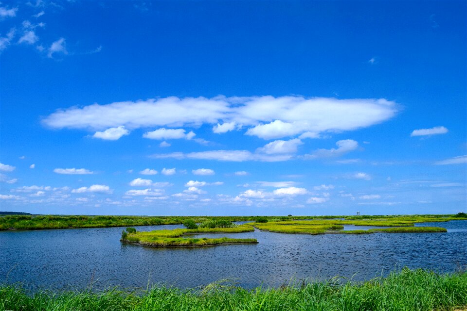 Grass nature landscape