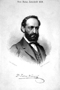 Julius Wiesner Litho