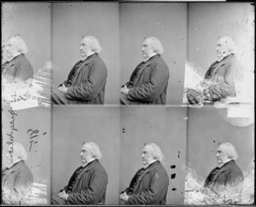 Judge Samuel Nelson, U.S. Supreme Court - NARA - 526621