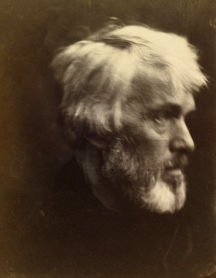 Julia Margaret Cameron - Thomas Carlyle (1795 - 1881) - Google Art Project