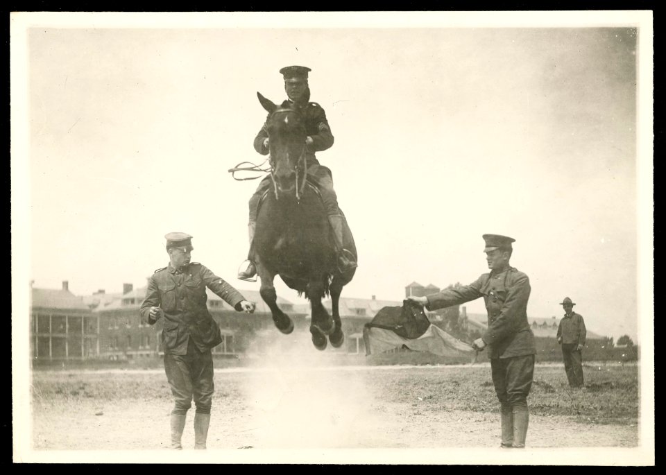 Jumping horse, Ft. Meyer (sic), Va. LCCN2016645651