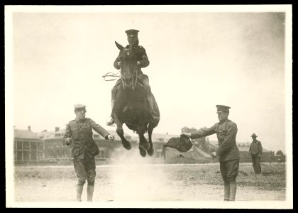 Jumping horse, Ft. Meyer (sic), Va. LCCN2016645651