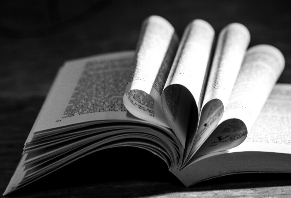 Heart reading book gray book