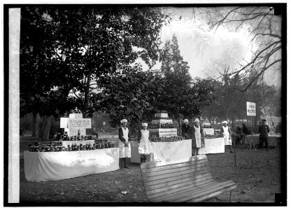 Junior Red Cross exhibit, 11-11-22 LCCN2016846886