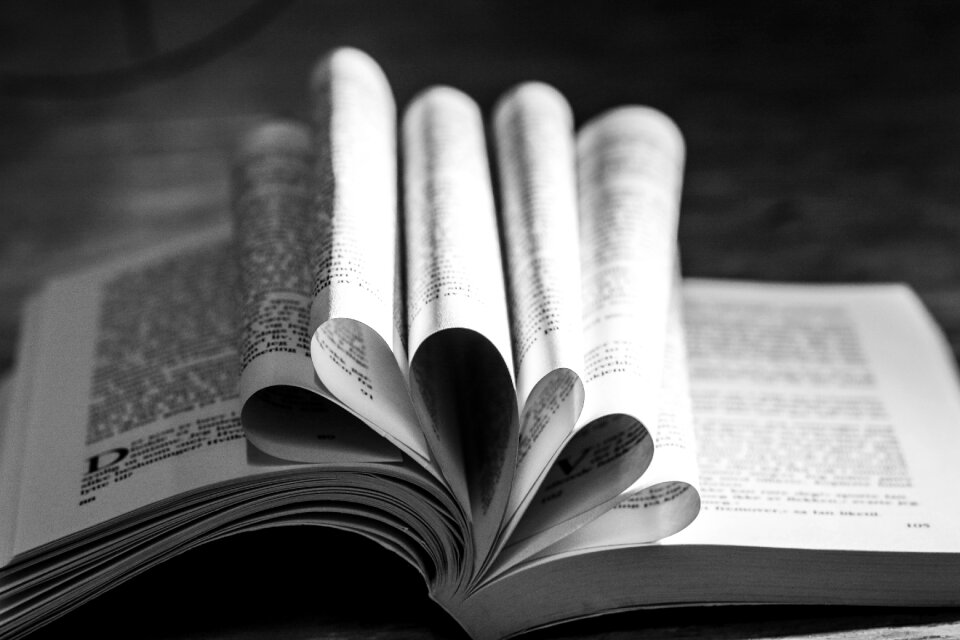 Heart reading book gray book
