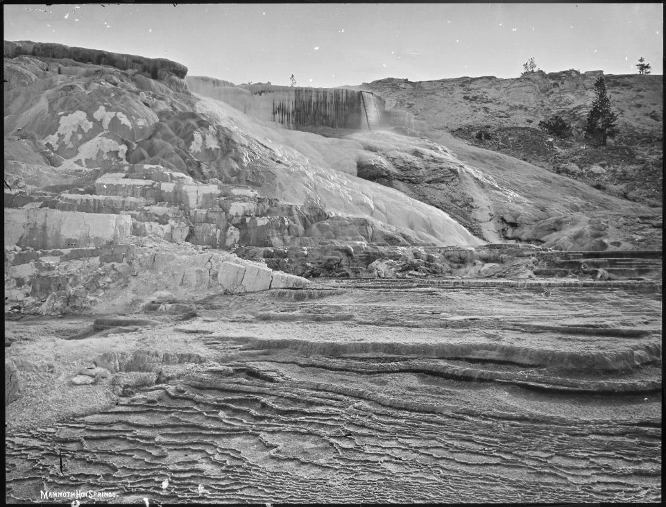 Jupiter Terrace from below, Mammoth Hot Springs. Yellowstone National Park. - NARA - 517640
