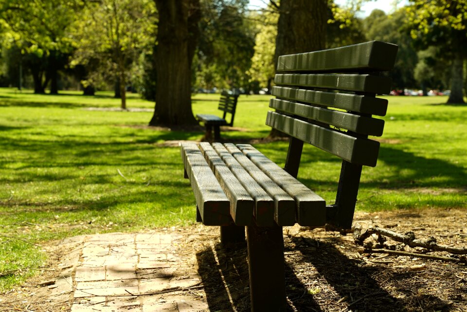 Outdoors summer adelaide