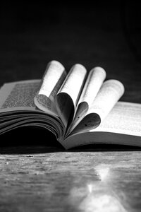 Heart reading book gray book