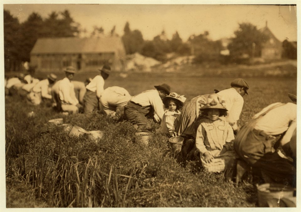 Justina, said 7 years old, and Amelia said 9 years old. Working on Elridge Bog. LOC nclc.00131