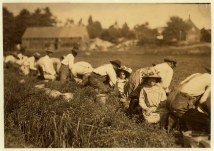 Justina, said 7 years old, and Amelia said 9 years old. Working on Elridge Bog. LOC nclc.00131