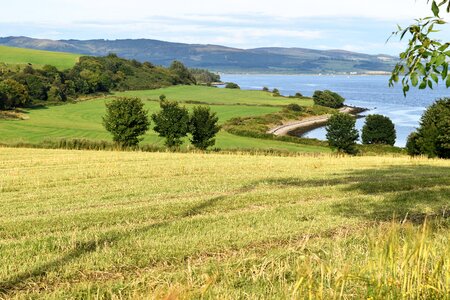 River scotland trees photo