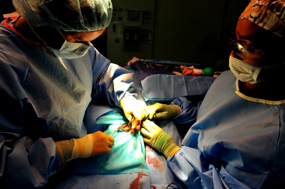 K-9 expeditionary medical surgery 141115-N-RY232-266
