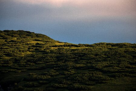 Grass highland mountain photo