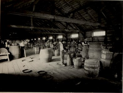 K.u.k.Verpflegsausrüstungs Werkstätte in Villach. Binderei Innenansicht. Aufgenommen am 21. Juli 1916. (BildID 15477849)