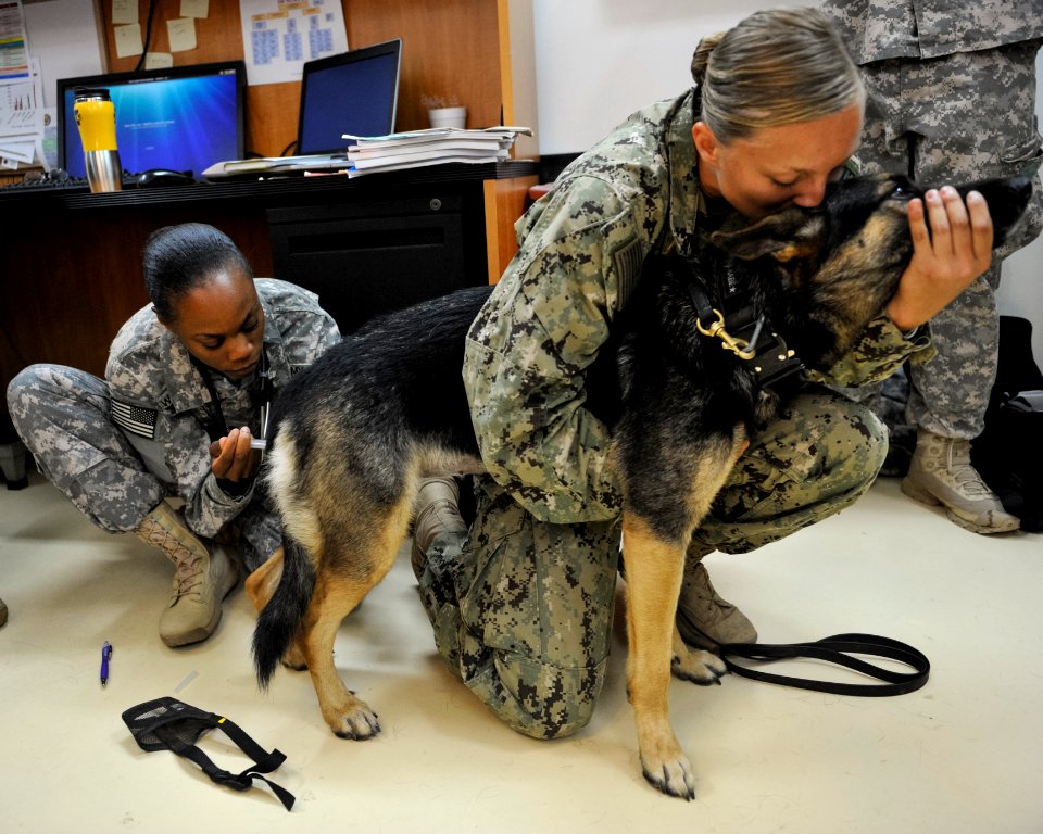 K9 surgery 140402-N-LE393-040