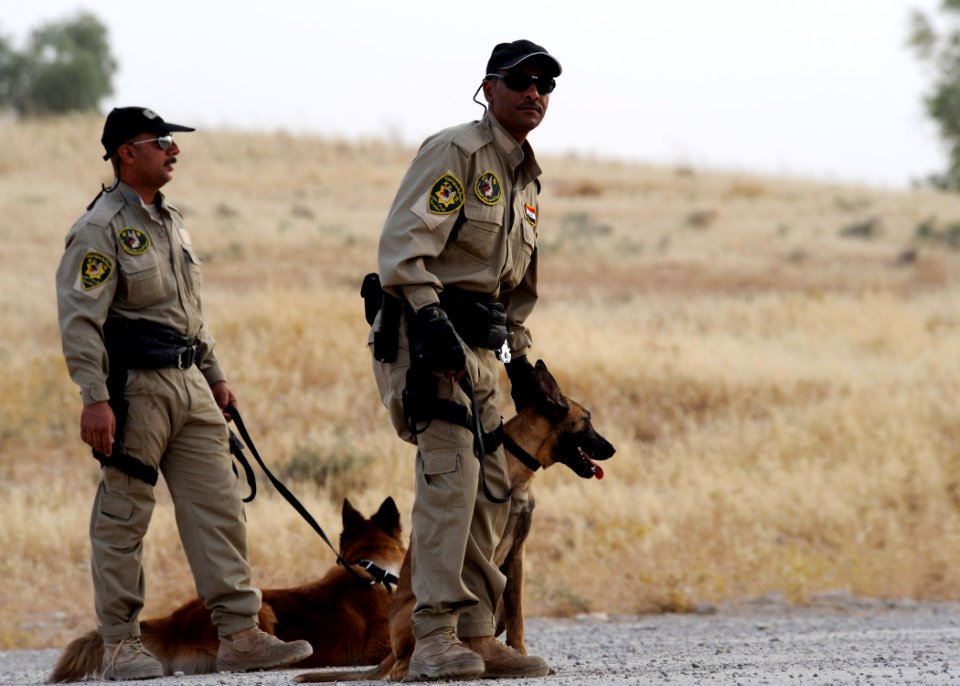 K9 Training DVIDS193686