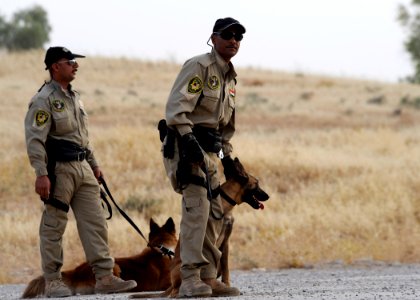 K9 Training DVIDS193686