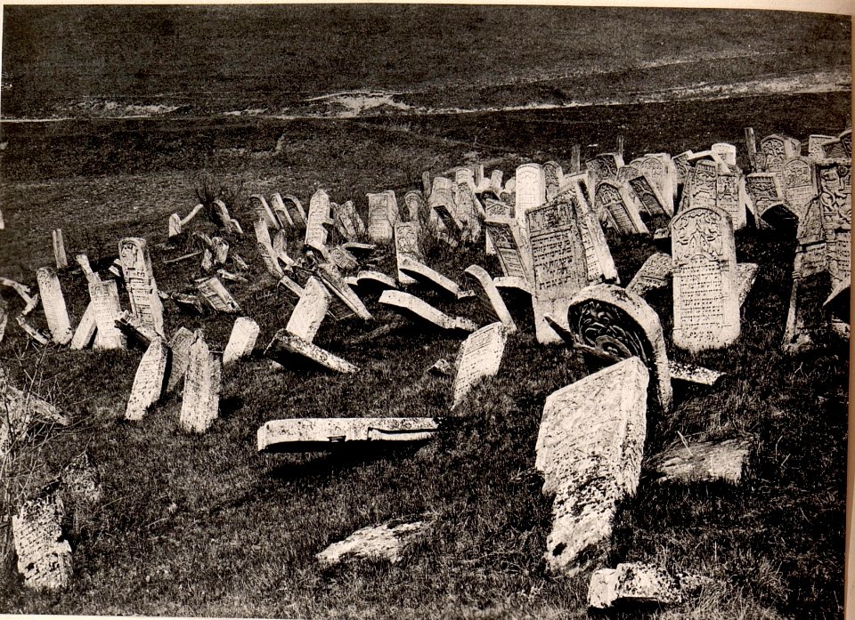 Jüdischer Friedhof in Narajow (BildID 15530018)