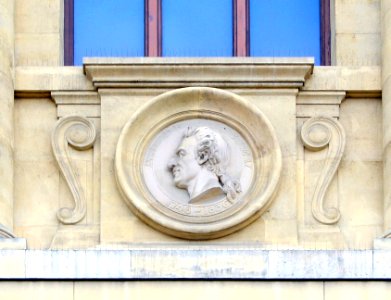 Jussieu 8 médaillon galerie évolution MNHN