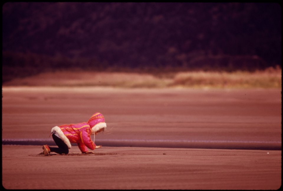 Just-like-the-beach-the-columbia-river-is-shown-here-at-rooster-rock-state-park-18-miles-east-of-portland101973 4271704615 o