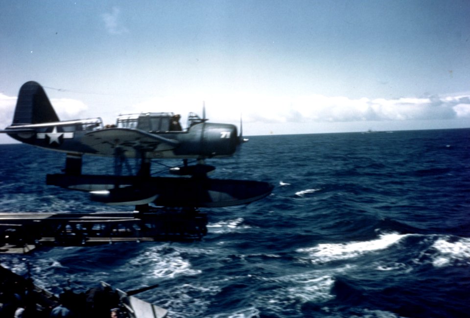 K-01950 (17220321646)